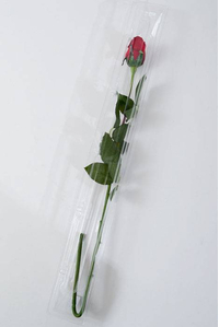 25" X 2.25" X 2.25" SINGLE ROSE PLASTIC BOX CLEAR PKG/12