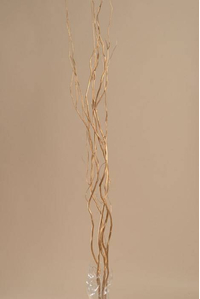 5-6 FT NATURAL CURLY WILLOW GOLD PKG/5