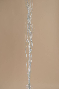 5-6 FT NATURAL CURLY WILLOW SILVER PKG/5