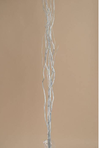 5-6 FT NATURAL CURLY WILLOW SILVER PKG/5