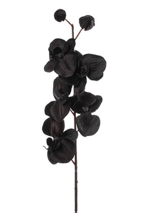 29" PHALAENOPSIS ORCHID SPRAY BLACK