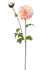 31" DAHLIA SPRAY PINK/CREAM