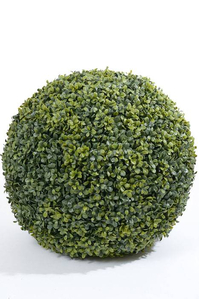 19" BOXWOOD BALL GREEN