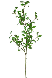 42" ROSE MYRTLE LEAF SPRAY GREEN