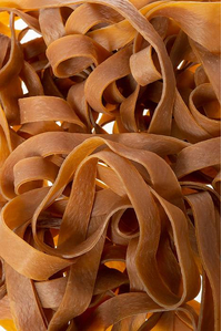 500MM x 15MM RUBBER BAND BROWN