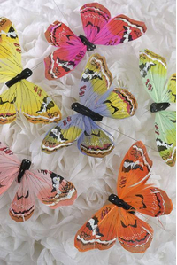 5" BUTTERFLY ASSORTED PKG/12