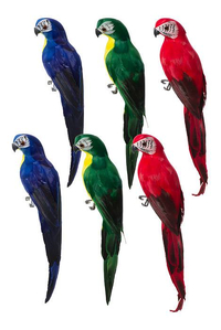 13.5" STANDING PARROT (BX/6) MULTI