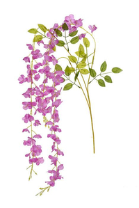 42" Wisteria Hanging Spray X3 Orchid42" Wisteria Hanging Spray X3 Orchid