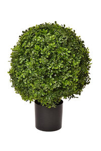 22" Boxwood Ball w/ Topiary Pot Green