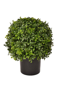 16" Boxwood Ball w/ Topiary Pot Green