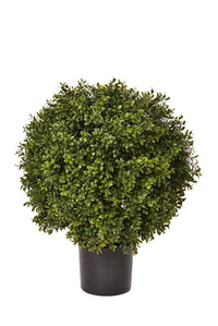 23.5" High Ball Boxwood Topiary Pot Green