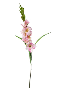 36" SILK GLADIOLUS SPRAY PINK