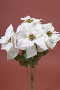 20" POINSETTIA BUSH WHITE