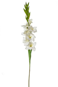 36" SILK GLADIOLUS SPRAY WHITE