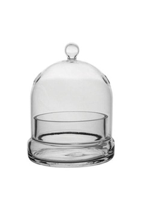 6" TERRARIUM GLASS CLOCHE CRYSTAL