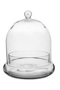 8.5" TERRARIUM CLOCHE CRYSTAL