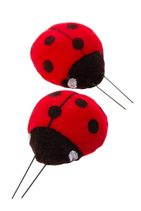 2" LADYBUG ASSORT RED/BLACK PKG/12