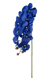42.5" ORCHID SPRAY ROYAL BLUE