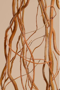 CURLY WILLOW DELUXE NATURAL PKG/6