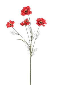 32" COSMOS SPRAY RED