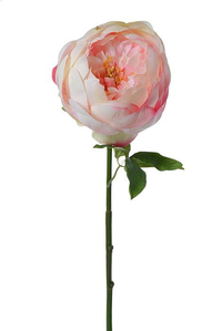 27" SILK PEONY SPRAY WHITE/PINK