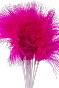 7" FEATHER PICKS, (PKG-12) HOT PINK