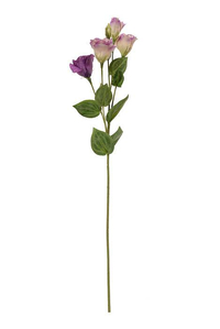 30" Lisianthus Spray Purple