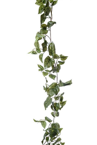 6FT PUFF POTHOS GARLAND GREEN