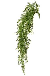 30" PLAS. BABY'S TEARS HANG BUSH SAGE GREEN