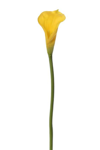 26" ARTIFICIAL CALLA LILY STEM YELLOW