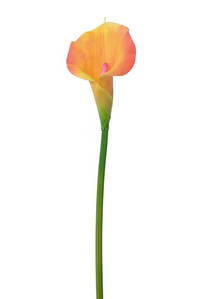 21.5" ARTIFICIAL CALLA LILY STEM YELLOW/PINK