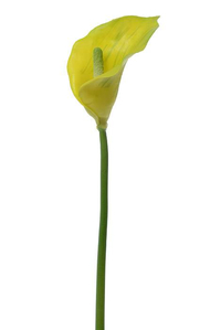19" ARTIFICIAL CALLA LILY GREEN