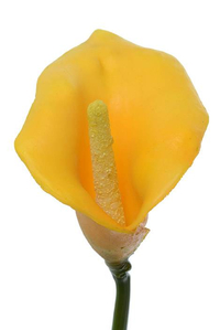 19" ARTIFICIAL CALLA LILY YELLOW