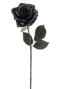 21.5" MAGIC ROSE SPRAY BLACK