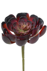 4" ARTIFICIAL ECHEVERIA PICK BURGUNDY/GREEN