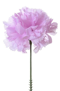 7" SILK CARNATION PICK VIOLET PKG/100