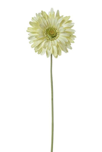 29" SILK GERBERA DAISY LIGHT GREEN