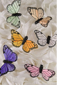 2" FEATHER BUTTERFLY ASSORTED PKG/12