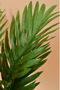 18" ARECA PALM BUSH GREEN