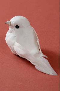 3" BIRD WHITE PKG/12