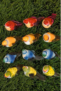 3" FEATHER BIRD PKG/12