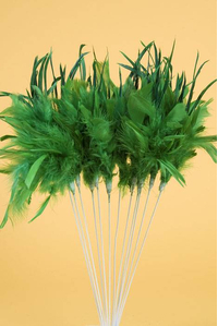 14" OWL FEATHER SPRAY KELLY GREEN PKG/12