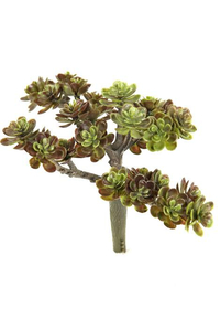 5" SEDUM PICK GREEN/BURGUNDY