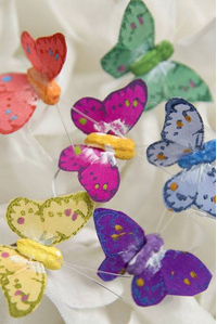 0.5" MINI BUTTERFLY ASSORTED PKG/12