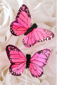 2" FEATHER BUTTERFLY PINK PKG/12