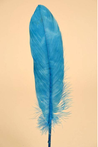 6"- 8" GOOSE FEATHER TURQUOISE PKG/50