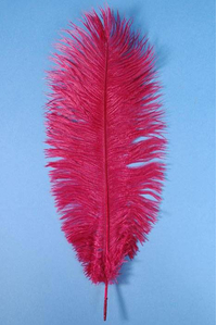 14"-16" OSTRICH FEATHER WINE PKG/12