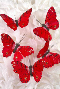 3" BUTTERFLY RED PKG/12