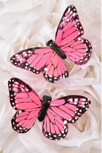 3" PRINTED BUTTERFLY PINK PKG/12