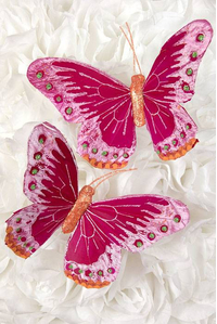 5" BUTTERFLY FUCHSIA PKG/12